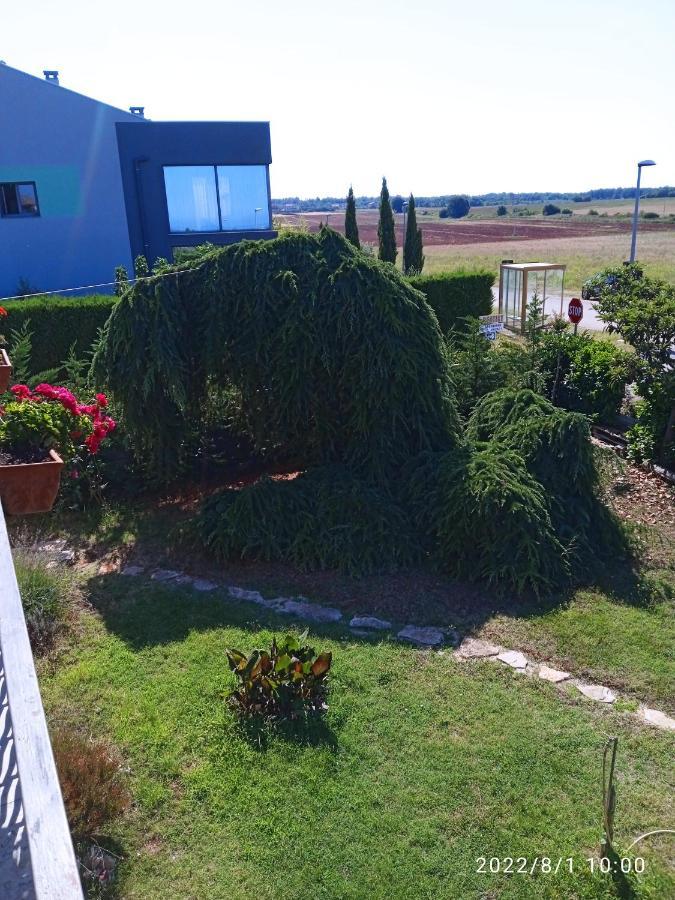 Ribic Apartmán Umag
